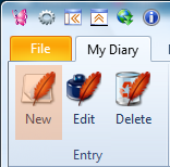 Click at the New Entry button to write a new diary entry
